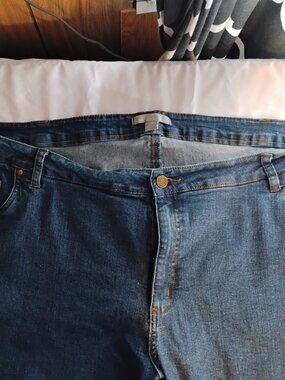 Woman Within | Dark Wash Stretch Jeans | 24W Petite | Like New